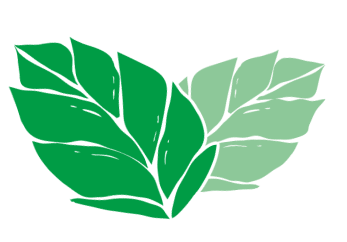 Hojas de Menta.