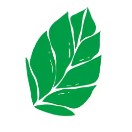Feuille de menthe.