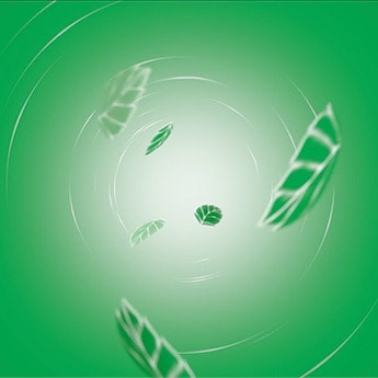 Vidéo Tic Tac® Menthe.