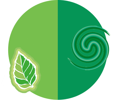 fundo de Menta Fresh & Suave com folhas de horteã