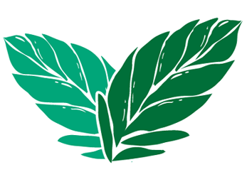 Pfefferminzblättersticker.