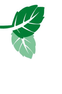 Minzblättersticker.