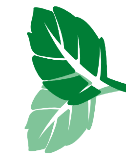 Minzblättersticker.