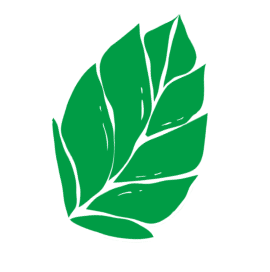 Menthe