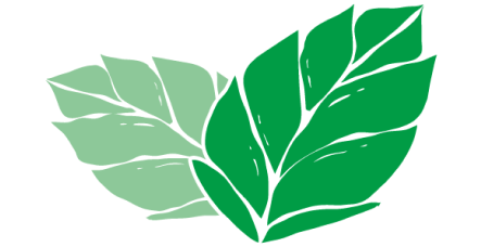 Menthe