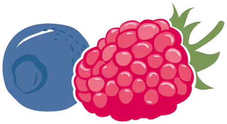 Icona frutta mirtillo e lampone.