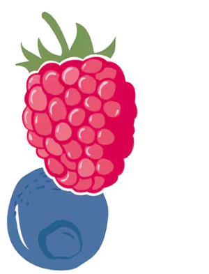 Lampone e mirtillo icona frutta.