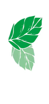 mėtų lapelių piktogramos