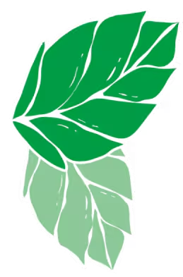 Sticker de menta