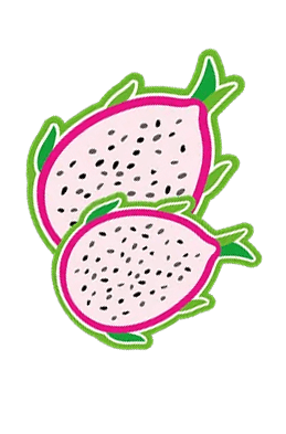 Naklejka Dragon Fruit