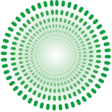 Mint Rays