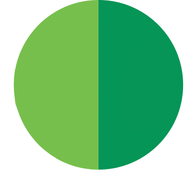 fundal Tic Tac TWO Spearmint